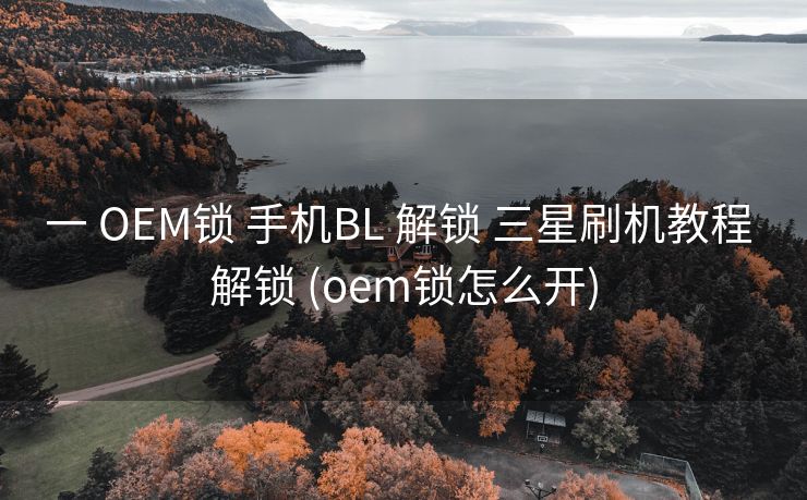 一 OEM锁 手机BL 解锁 三星刷机教程 解锁 (oem锁怎么开)