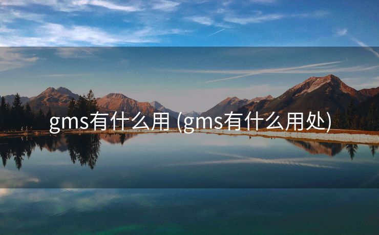 gms有什么用 (gms有什么用处)