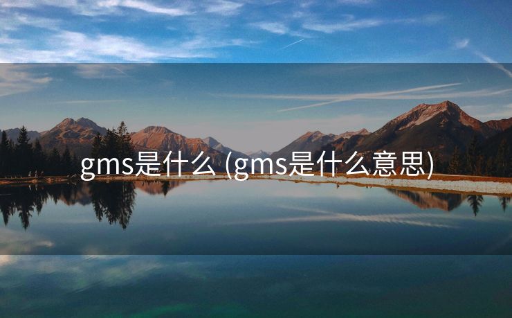 gms是什么 (gms是什么意思)