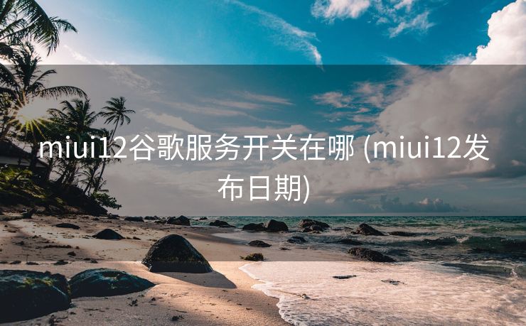 miui12谷歌服务开关在哪 (miui12发布日期)