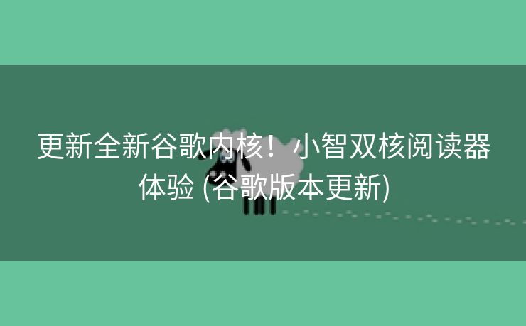更新全新谷歌内核！小智双核阅读器体验 (谷歌版本更新)