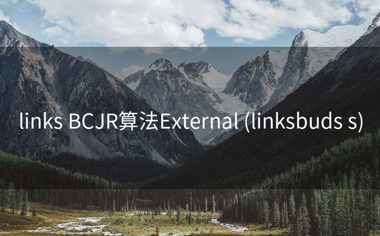 links BCJR算法External (linksbuds s)