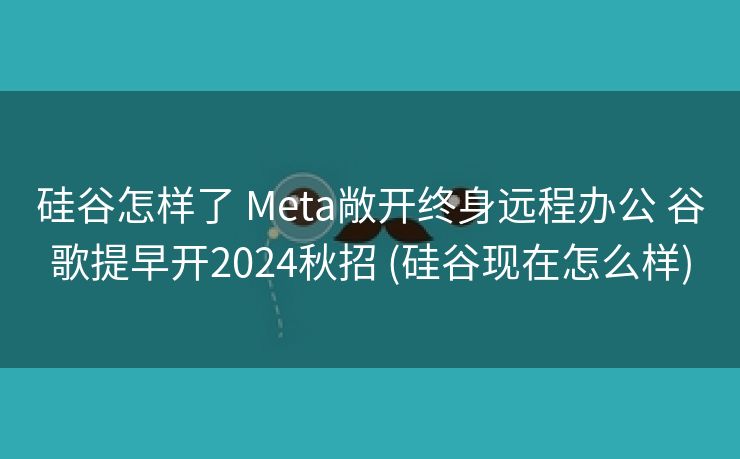 硅谷怎样了 Meta敞开终身远程办公 谷歌提早开2024秋招 (硅谷现在怎么样)