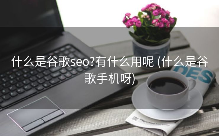 什么是谷歌seo?有什么用呢 (什么是谷歌手机呀)