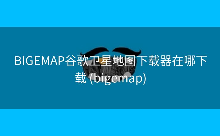 BIGEMAP谷歌卫星地图下载器在哪下载 (bigemap)