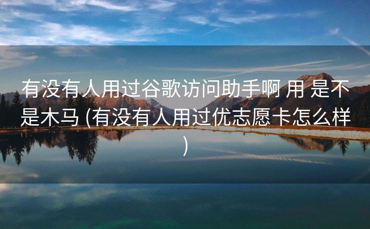 有没有人用过谷歌访问助手啊 用 是不是木马 (有没有人用过优志愿卡怎么样)