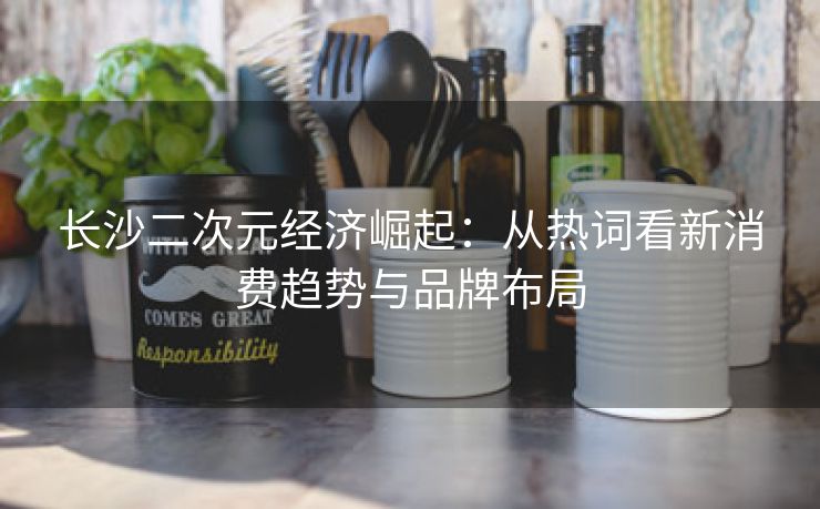 长沙二次元经济崛起：从热词看新消费趋势与品牌布局