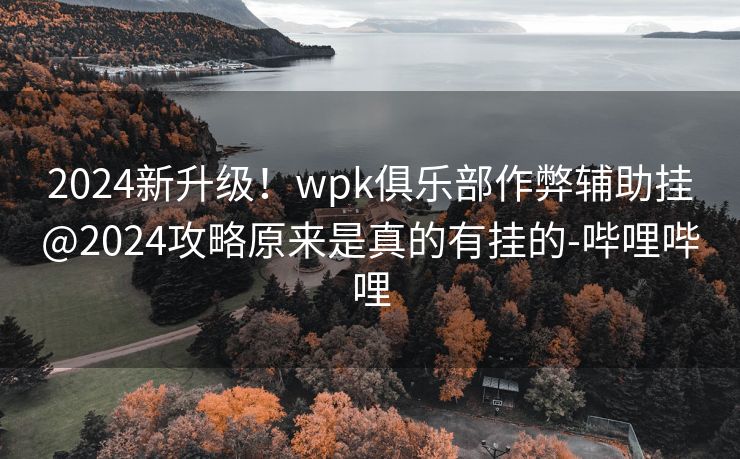 2024新升级！wpk俱乐部作弊辅助挂@2024攻略原来是真的有挂的-哔哩哔哩
