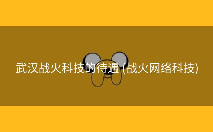 武汉战火科技的待遇 (战火网络科技)