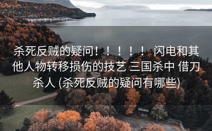 杀死反贼的疑问！！！！！ 闪电和其他人物转移损伤的技艺 三国杀中 借刀杀人 (杀死反贼的疑问有哪些)