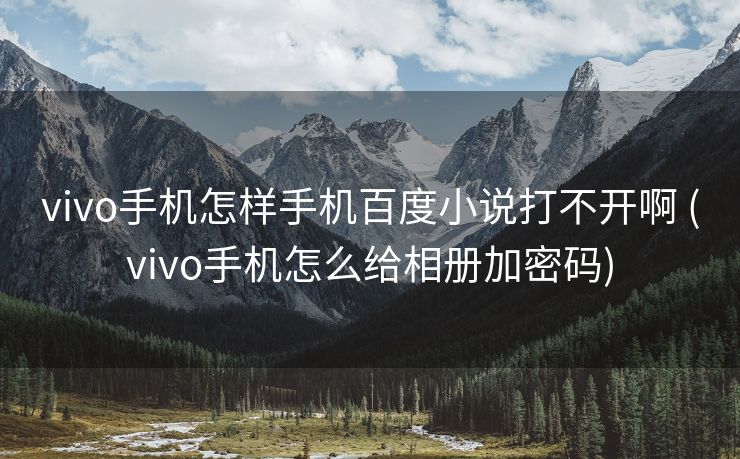 vivo手机怎样手机百度小说打不开啊 (vivo手机怎么给相册加密码)