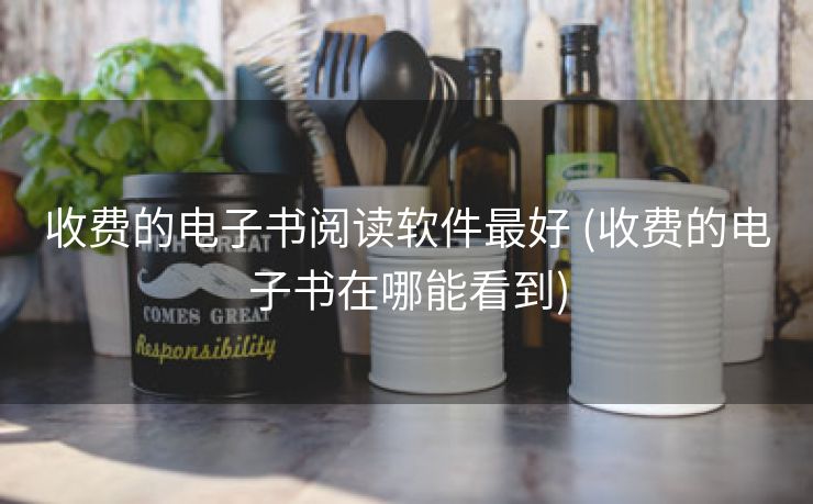 收费的电子书阅读软件最好 (收费的电子书在哪能看到)