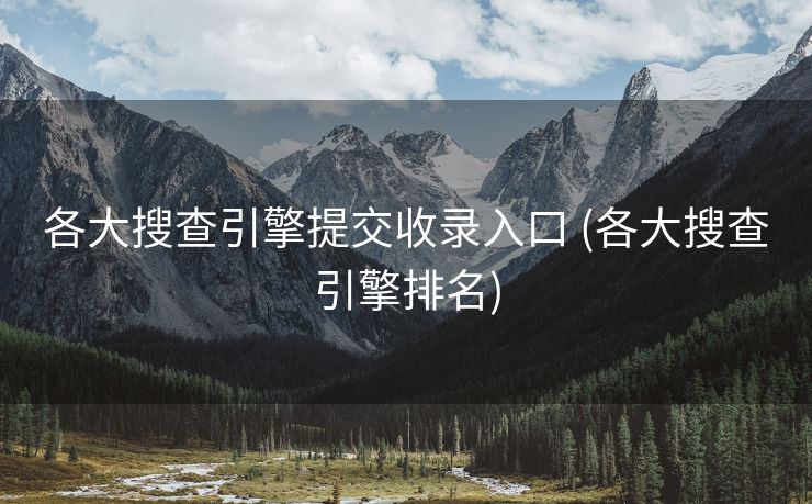 各大搜查引擎提交收录入口 (各大搜查引擎排名)