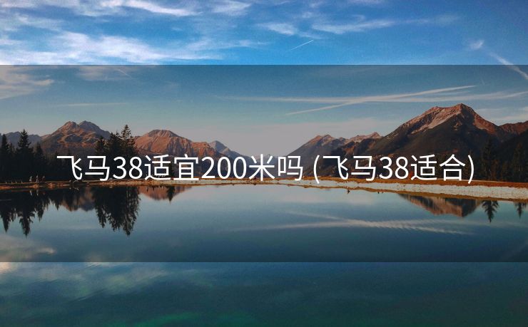 飞马38适宜200米吗 (飞马38适合)