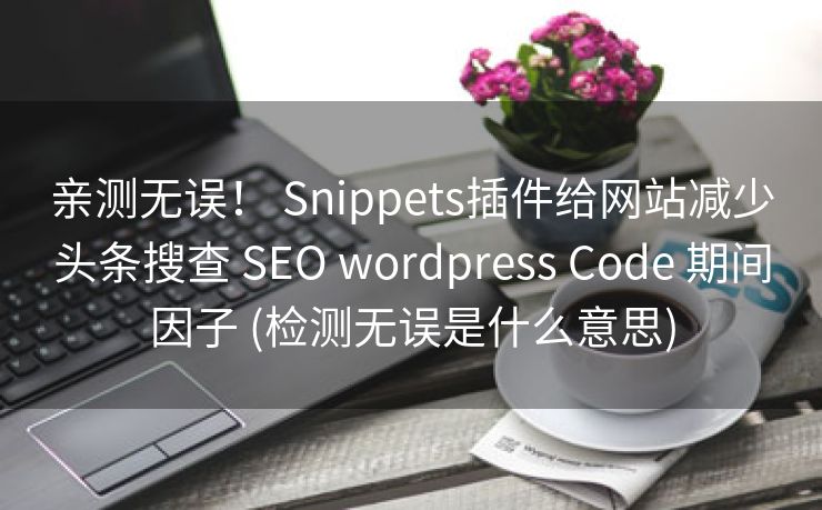 亲测无误！ Snippets插件给网站减少头条搜查 SEO wordpress Code 期间因子 (检测无误是什么意思)