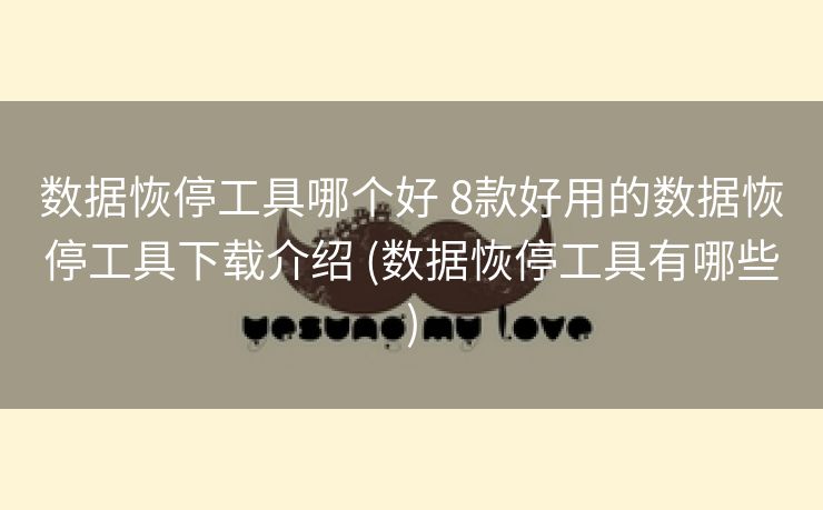 数据恢停工具哪个好 8款好用的数据恢停工具下载介绍 (数据恢停工具有哪些)