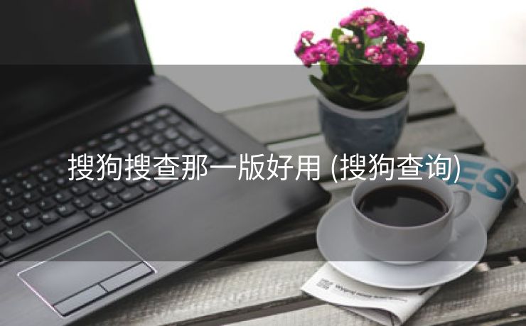 搜狗搜查那一版好用 (搜狗查询)