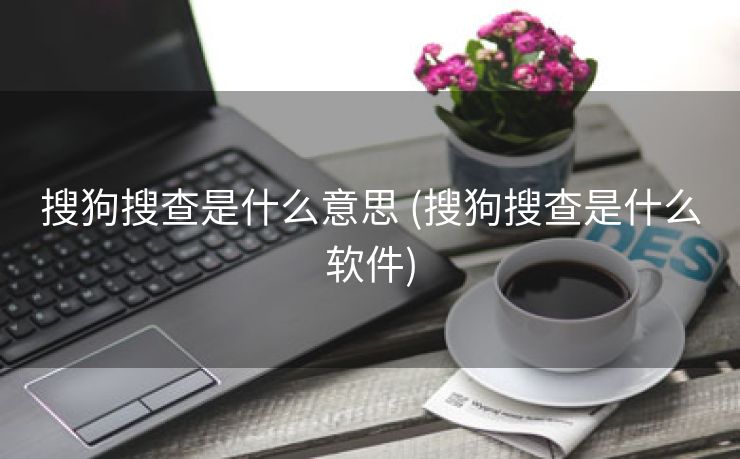 搜狗搜查是什么意思 (搜狗搜查是什么软件)