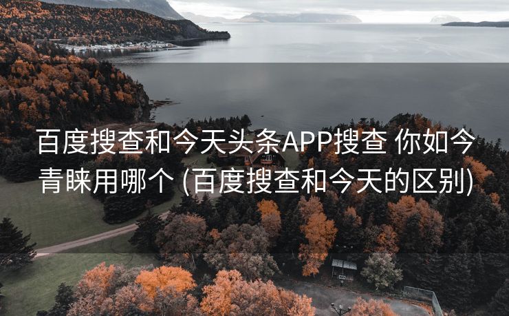 百度搜查和今天头条APP搜查 你如今青睐用哪个 (百度搜查和今天的区别)