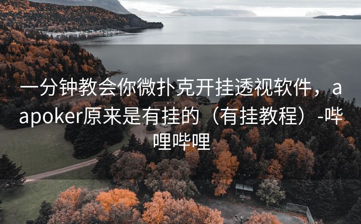 一分钟教会你微扑克开挂透视软件，aapoker原来是有挂的（有挂教程）-哔哩哔哩