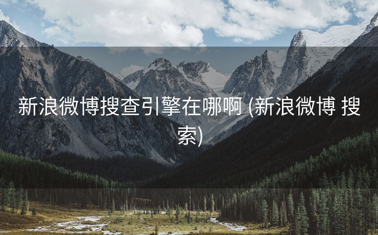 新浪微博搜查引擎在哪啊 (新浪微博 搜索)