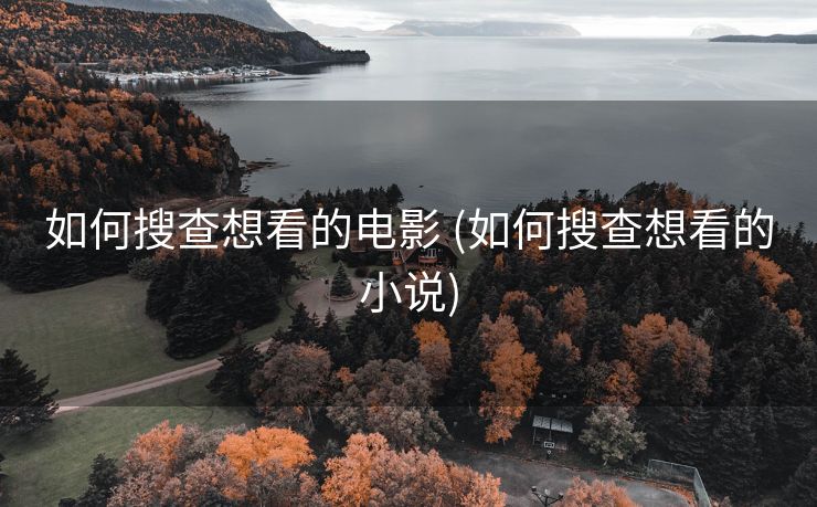 如何搜查想看的电影 (如何搜查想看的小说)