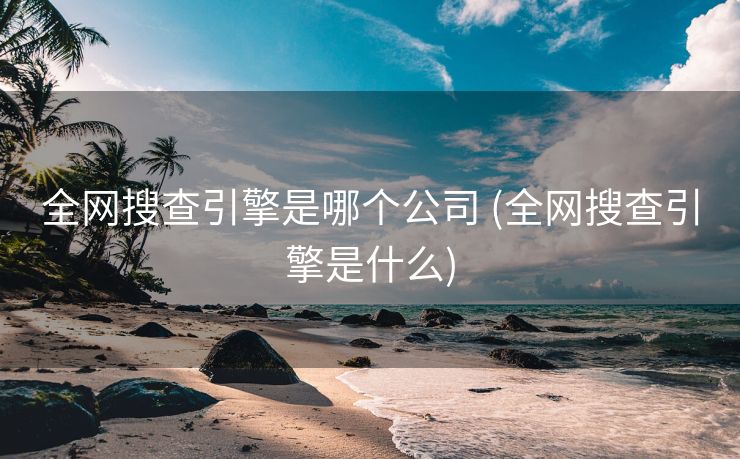 全网搜查引擎是哪个公司 (全网搜查引擎是什么)