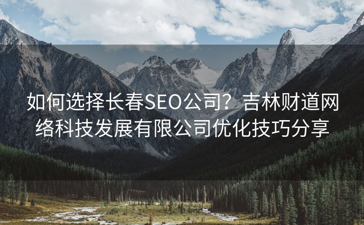 如何选择长春SEO公司？吉林财道网络科技发展有限公司优化技巧分享
