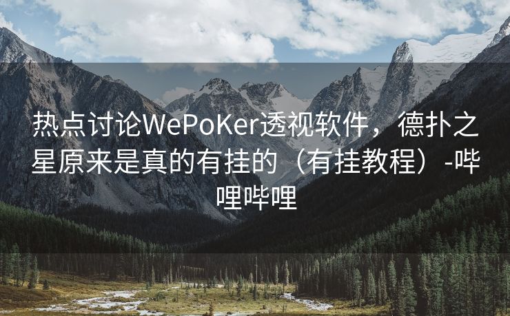 热点讨论WePoKer透视软件，德扑之星原来是真的有挂的（有挂教程）-哔哩哔哩