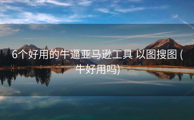 6个好用的牛逼亚马逊工具 以图搜图 (牛好用吗)