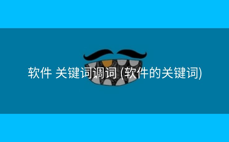 软件 关键词调词 (软件的关键词)