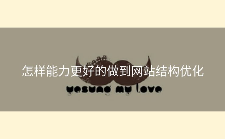 怎样能力更好的做到网站结构优化