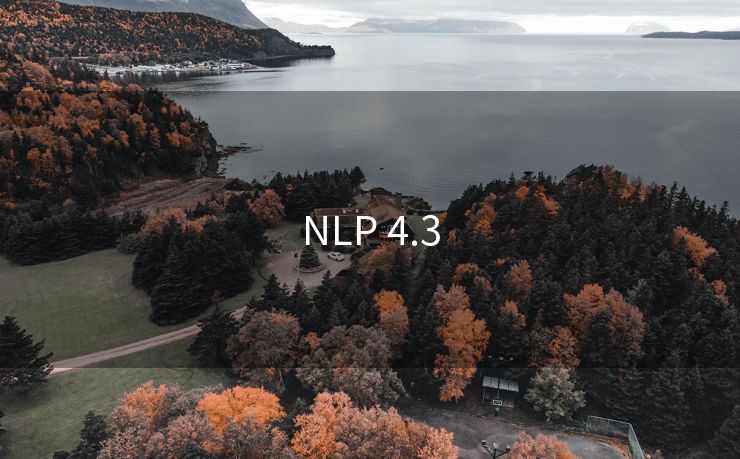 NLP 4.3