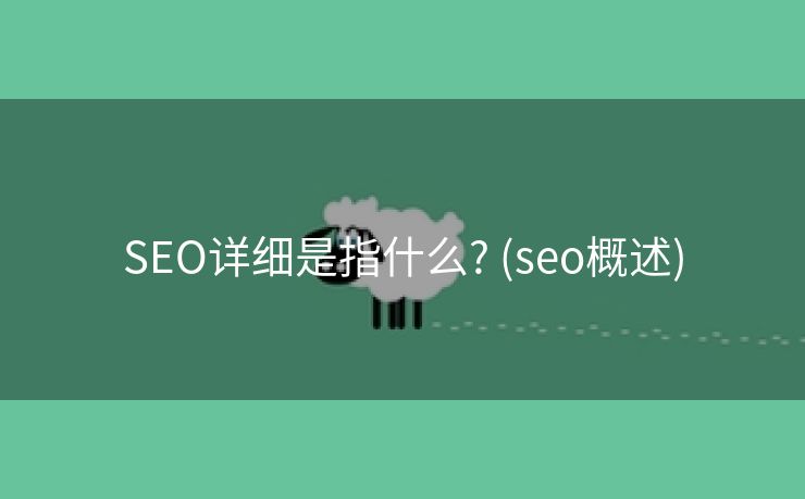 SEO详细是指什么? (seo概述)