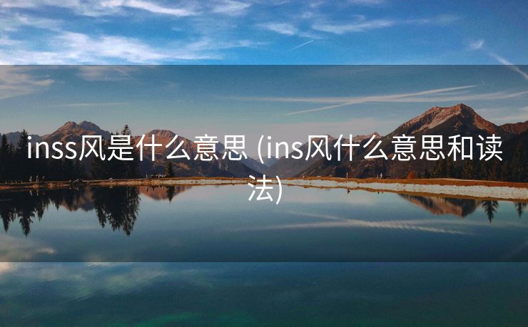 inss风是什么意思 (ins风什么意思和读法)