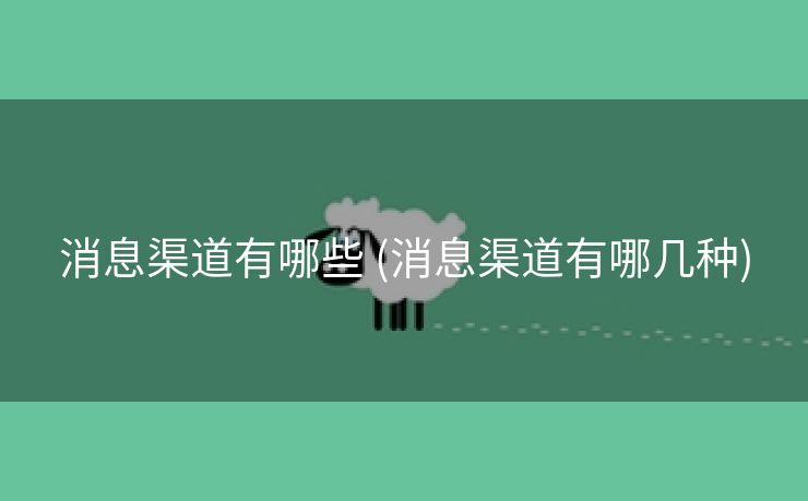 消息渠道有哪些 (消息渠道有哪几种)