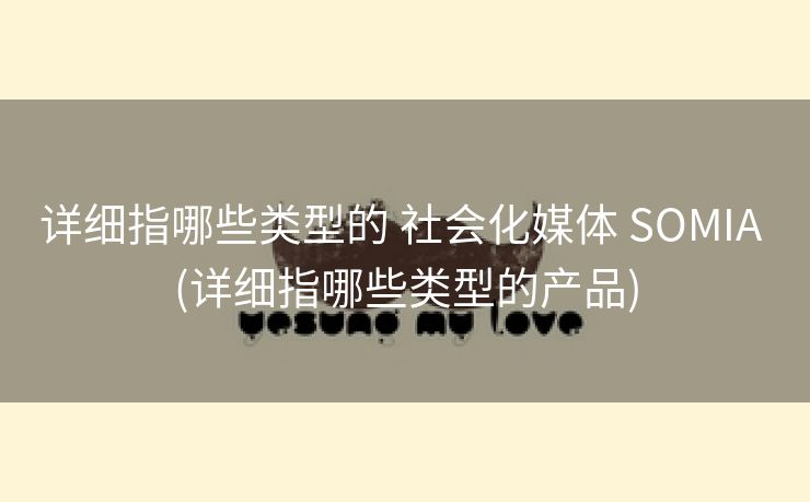 详细指哪些类型的 社会化媒体 SOMIA (详细指哪些类型的产品)