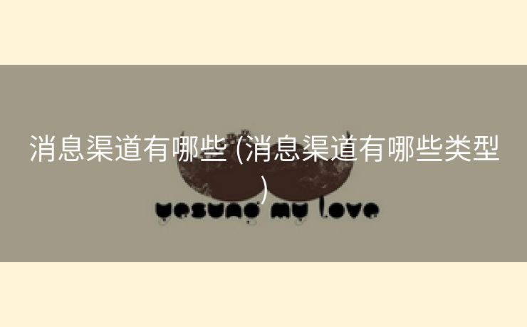 消息渠道有哪些 (消息渠道有哪些类型)
