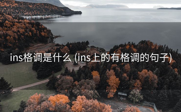 ins格调是什么 (ins上的有格调的句子)