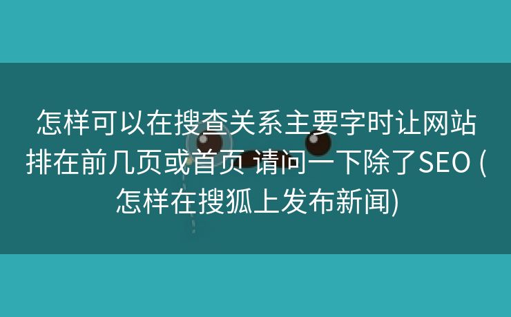 怎样可以在搜查关系主要字时让网站排在前几页或首页 请问一下除了SEO (怎样在搜狐上发布新闻)