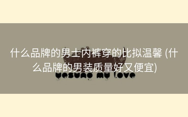 什么品牌的男士内裤穿的比拟温馨 (什么品牌的男装质量好又便宜)