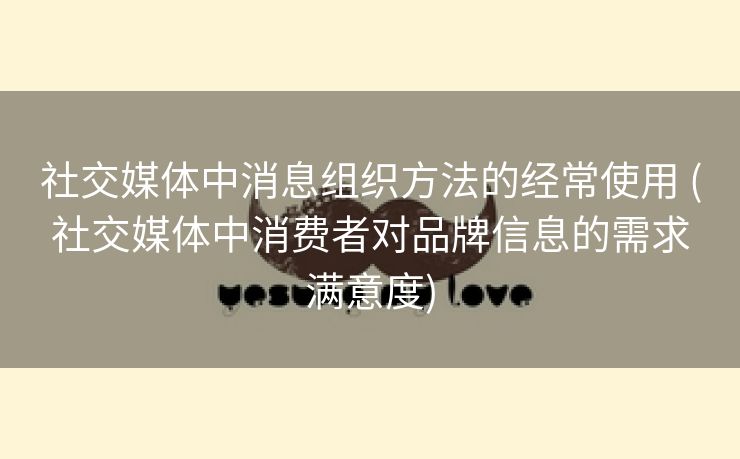 社交媒体中消息组织方法的经常使用 (社交媒体中消费者对品牌信息的需求满意度)