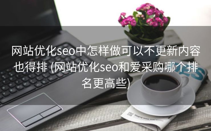 网站优化seo中怎样做可以不更新内容也得排 (网站优化seo和爱采购哪个排名更高些)
