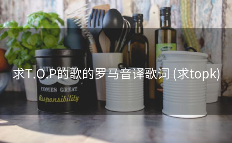 求T.O.P的歌的罗马音译歌词 (求topk)