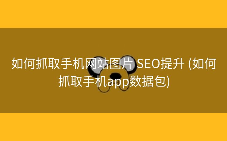 如何抓取手机网站图片 SEO提升 (如何抓取手机app数据包)