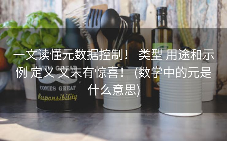 一文读懂元数据控制！ 类型 用途和示例 定义 文末有惊喜！ (数学中的元是什么意思)