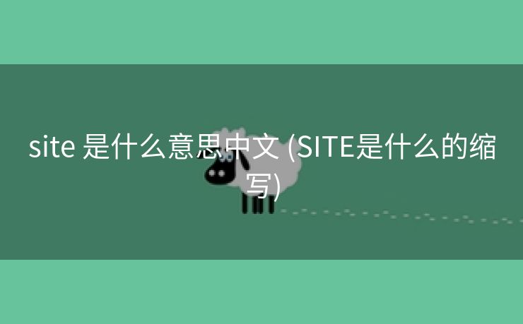 site 是什么意思中文 (SITE是什么的缩写)