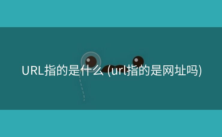URL指的是什么 (url指的是网址吗)