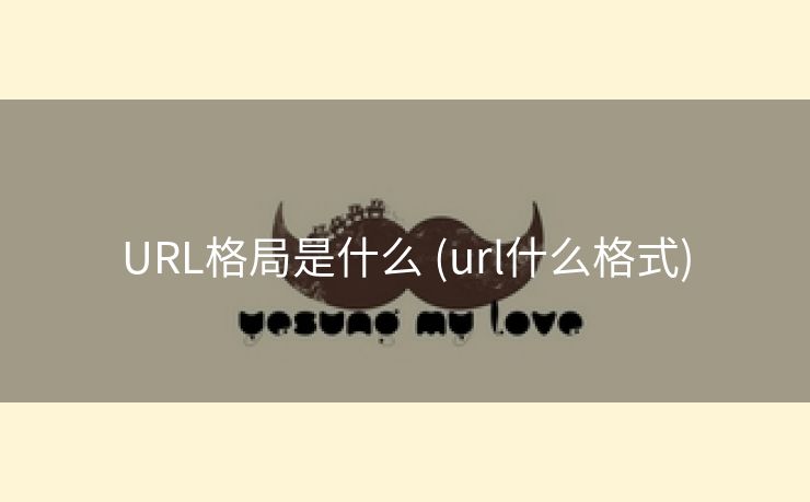 URL格局是什么 (url什么格式)