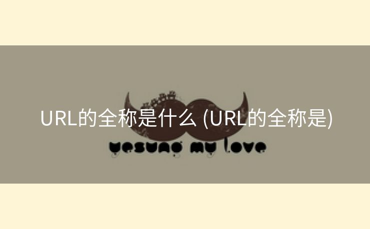 URL的全称是什么 (URL的全称是)